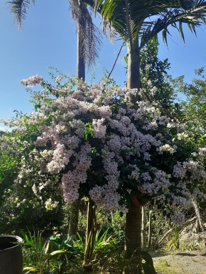 Chacara Cantinho Da Paz Ibiuna Luaran gambar